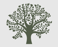 Sherwood T Group Logo - tree only-1